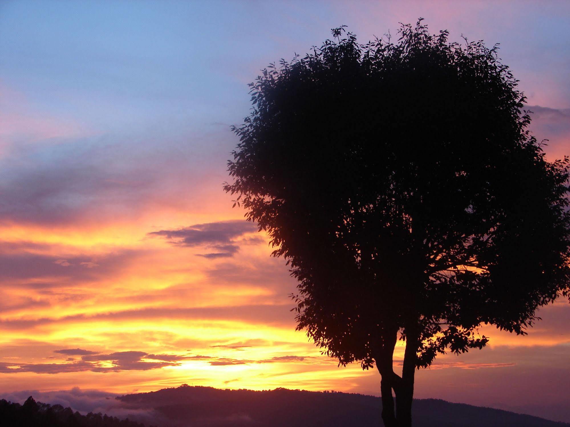Shitlakhet Blusalzz Escapade Anant Rasa Resort - Ranikhet מראה חיצוני תמונה